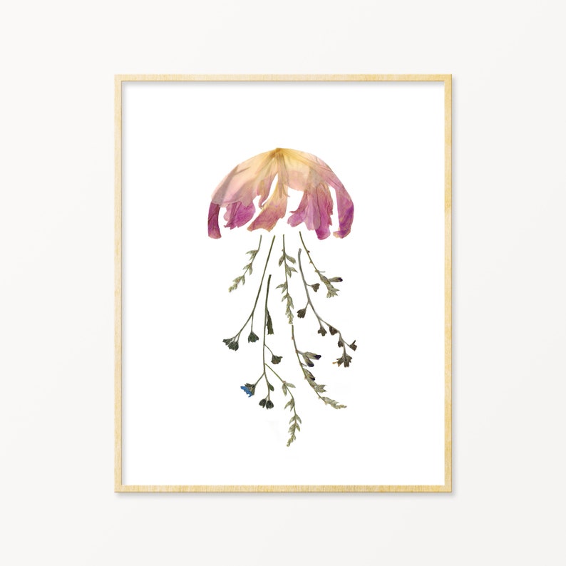 May include: A framed print of a pressed flower art piece depicting a jellyfish made from dried flower petals. The jellyfish is pink and yellow with green stems.