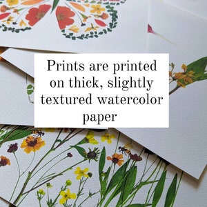 May include: A collection of art prints on thick, textured watercolor paper. The prints feature botanical and insect illustrations, including a butterfly, flowers, and a hummingbird. The text on the image reads: "Prints are printed on thick, slightly textured watercolor paper."