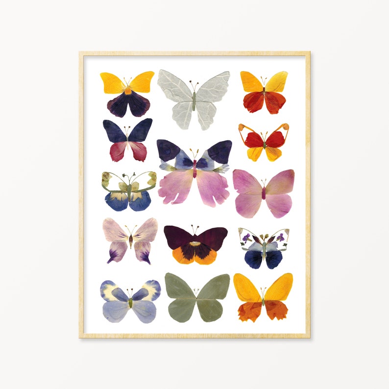 Pressed Flower Art Botanical Wall Art Butterfly Print Etsy