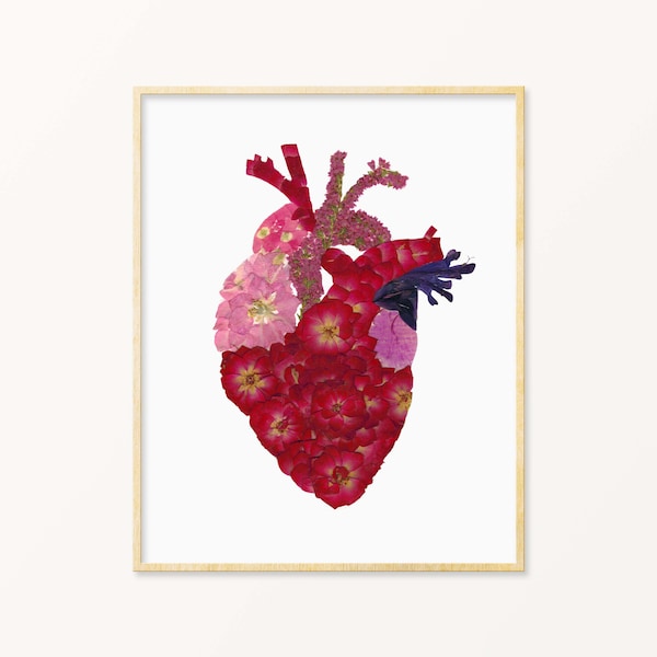 Anatomical Heart Art Etsy