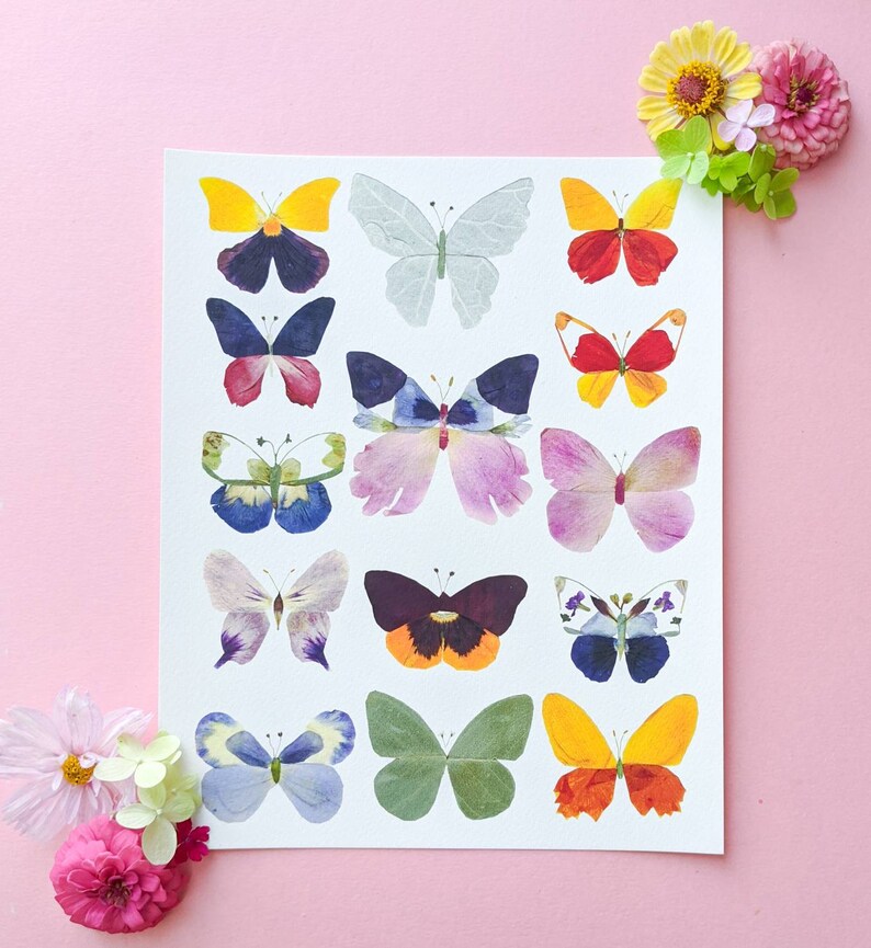 Pressed Flower Art Botanical Wall Art Butterfly Print Etsy