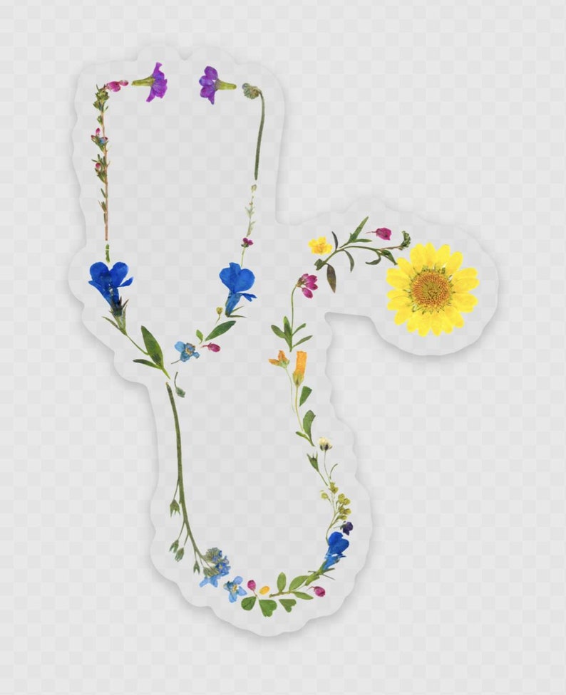 Preceptor Sticker Stethoscope Sticker, Nurse Stickers, Doctor Stickers, School Nurse Gift ...