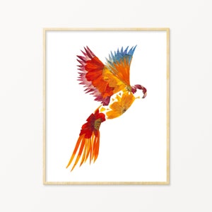Pressed Flower Parrot Print, Tropical Bird Wall Art, Parrots Prints, Red Scarlet Macaw Bird Print, Parrot Gifts