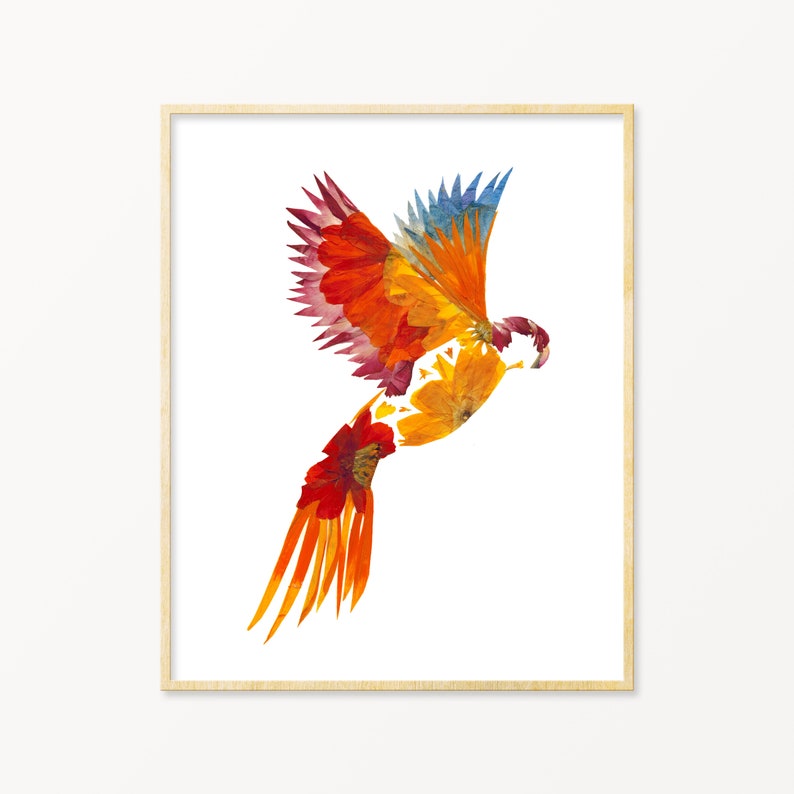 May include: A colorful bird made of pressed flowers, with red, orange, yellow, and blue petals. The bird is in flight with its wings spread wide.