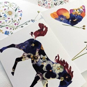 May include: A set of four cards featuring pressed flower art. Each card depicts a different design: a spiral, a butterfly, a horse, and a bird. The designs are made with a variety of colorful flowers.
