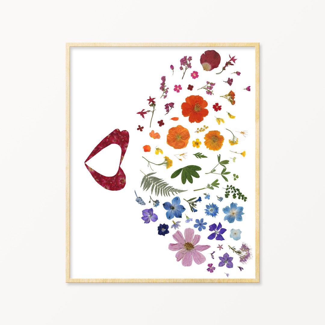 Finding Your Voice Pressed Flower Art Print, Abstract Rainbow Wall Art ...
