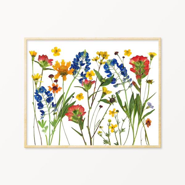 Pressed Flower Art Texas Wildflower Print | Texas Wall Art | Texas Bluebonnet Print | Texas State Flower Gift | Pressed Flowers Print