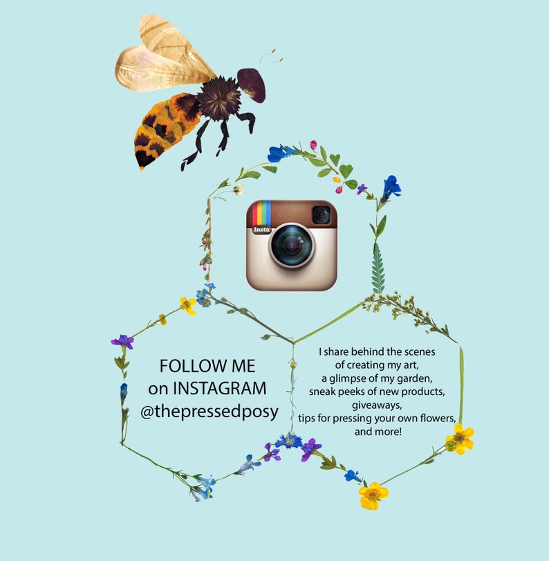 May include: A graphic with a bee and flowers forming a hexagon around an Instagram logo. The text reads "FOLLOW ME on INSTAGRAM @thepressedposy". The text below the logo reads "I share behind the scenes of creating my art, a glimpse of my garden, sneak peeks of new products, giveaways, tips for pressing your own flowers, and more!"