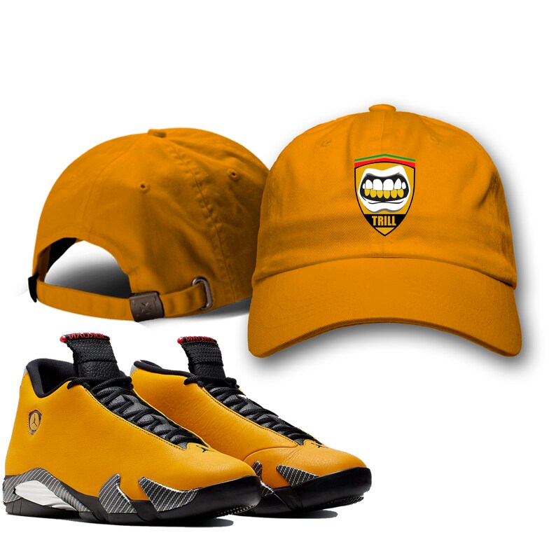 jordan 14 flight