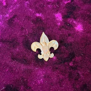 Boy Scouts Insignia Pin Vintage 1960s