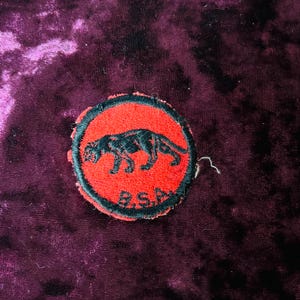 Boy Scouts Panther Patrol Patch Vintage 1960s