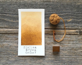 May include: A rectangular watercolor swatch paper featuring a gradient of Italian Brown Ocher paint, with the text "Italian Brown Ocher" printed below. Beside the paper is a small square watercolor paint pan and a dried, textured brown seed pod.