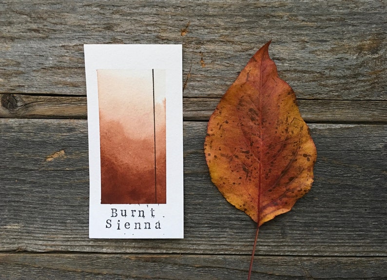 Calligraphy and Lettering Burnt Sienna Handmade Watercolor for Painting