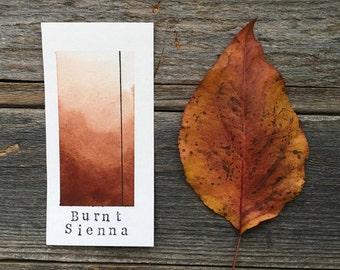 Handmade Watercolor - Burnt Sienna - for Painting, Calligraphy, and Lettering