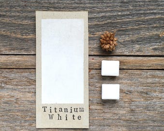 May include: A rectangular tan card featuring a large white painted swatch and the text Titanium White printed in black ink. Beside the card are two small white square watercolor pans and a single dried brown flower head.