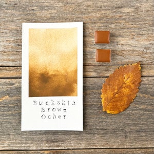 Handmade Watercolor - Buckskin Brown Ocher - for Painting, Calligraphy, and Lettering