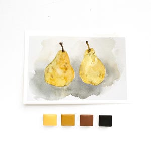 May include: A watercolor painting on paper depicting two yellow pears with brown stems against a soft gray wash background, accompanied by four small square paint pans in shades of yellow, ochre, brown, and black arranged in a horizontal row.