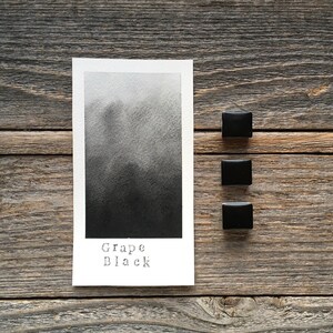 Aquarelle faite main - pépins de raisin noirs - pour la peinture, la calligraphie et le lettrage
