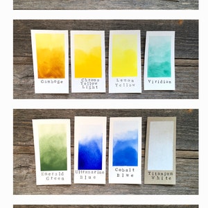 May include: A set of 12 watercolor paint swatches, each with a different color and name. The colors include red, yellow, green, blue, black, and brown. The names of the colors are written below each swatch.