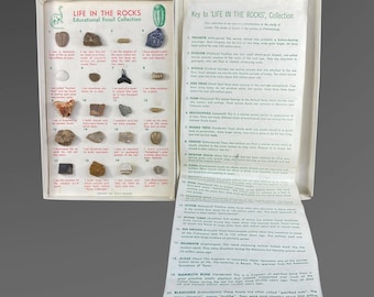 May include: An open box set titled "LIFE IN THE ROCKS Educational Fossil Collection" with a display of various fossils and a key to the collection. The box is white with black text and illustrations.