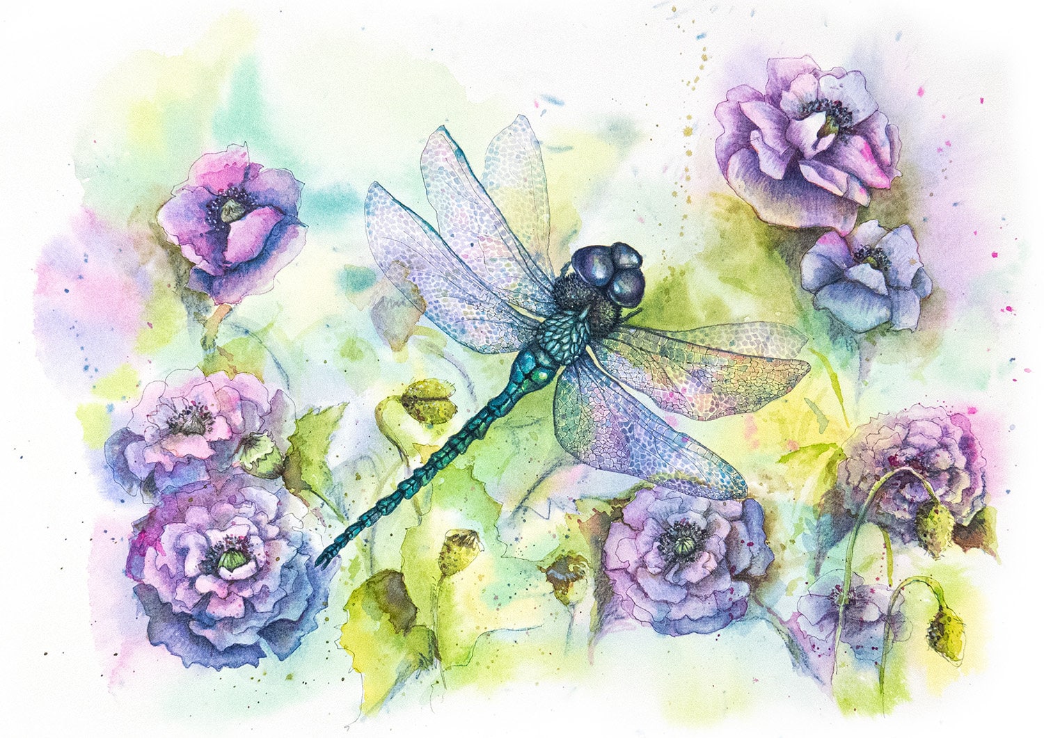 Purple dragofly watercolor print / grey poppies with dragonfly Etsy