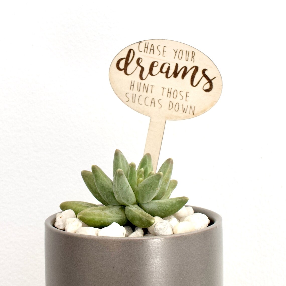 Plant Sticks With Messages and Greetings Etsy