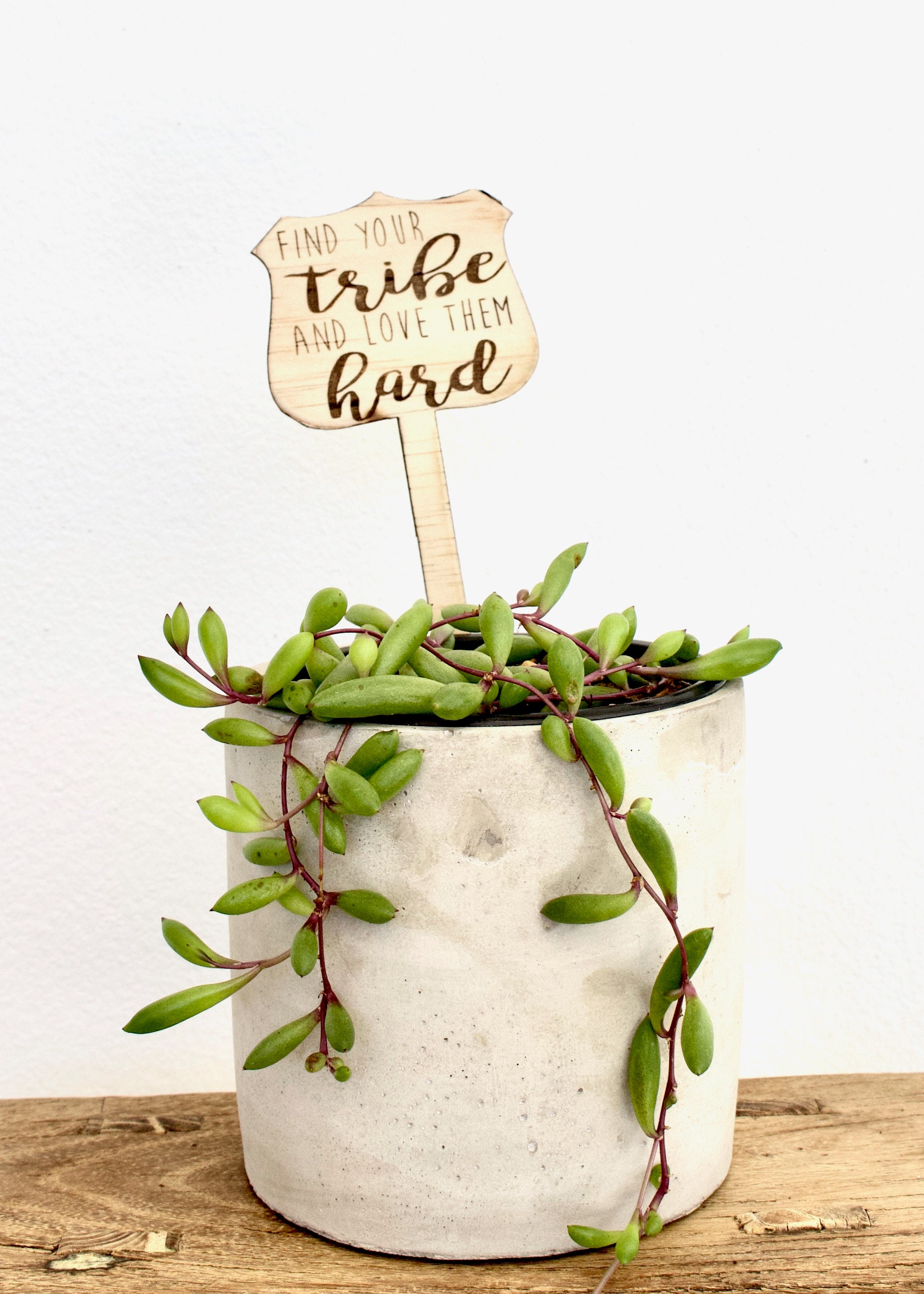 Plant Sticks With Messages and Greetings Etsy