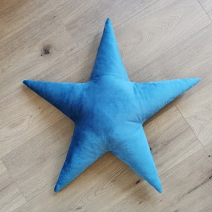 May include: A plush blue star-shaped pillow. The pillow is made of soft, velvety fabric and is perfect for adding a touch of whimsy to any room.