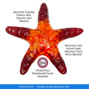 studioTica Glass Starfish - Multiple Colors - Handmade Sea Ornament, Suncatcher, or Paperweight - Nautical - Beach - Stunning!