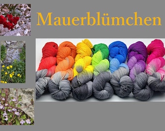 Aktionswoche - Mauerblümchen