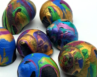 Conchas/conchas de caracoles de colores
