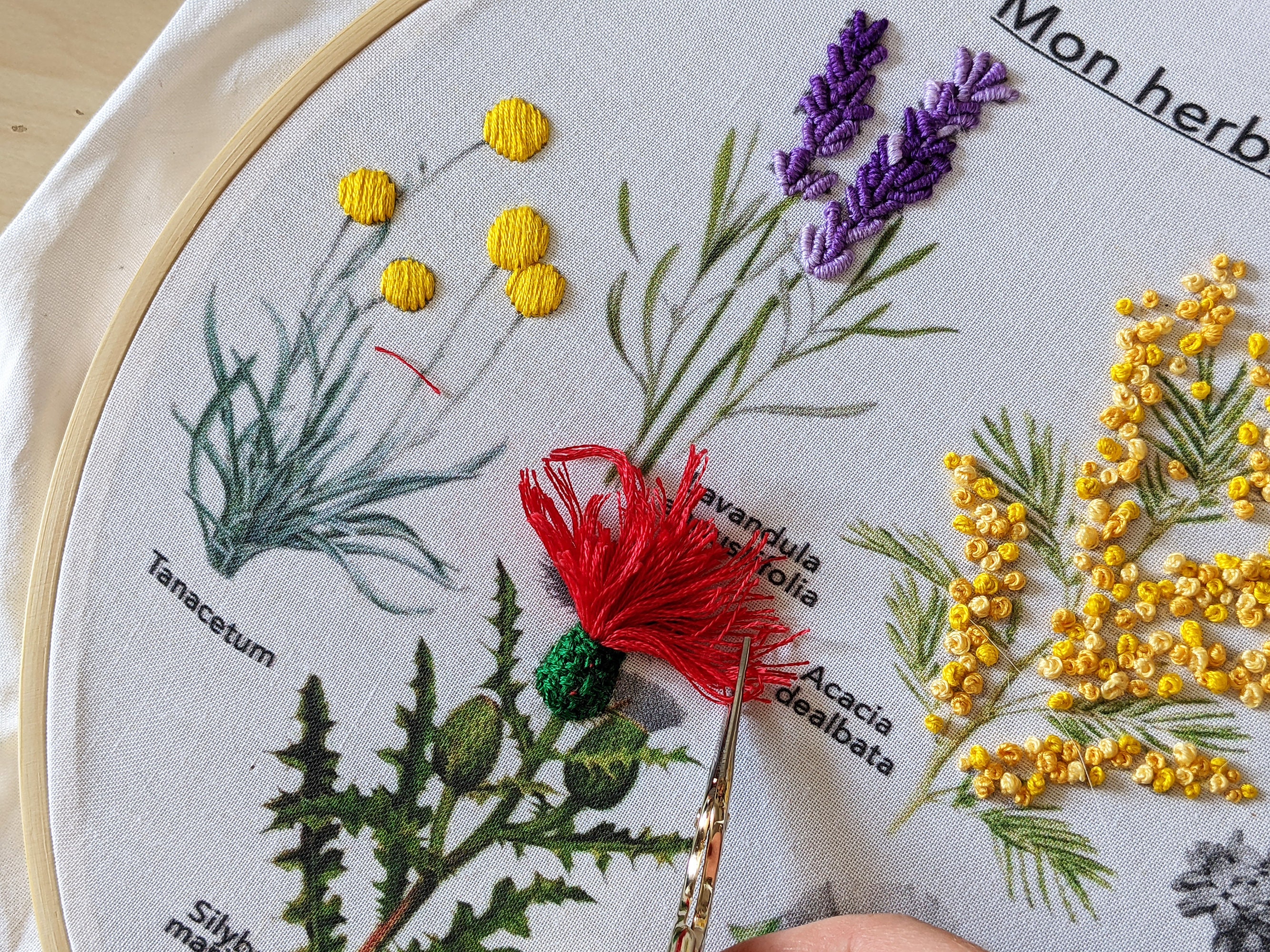 Embroidered Herbarium Embroidery Kit // French or English // Craft Kit //  Perfect for Ambitious Beginners 