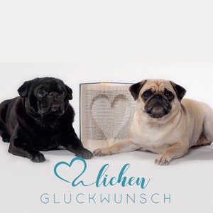 Glückwunsch-Karte "Herzlichen Glückwunsch" Design by Möpsle Pug Mops Glückwunsch-Karte "Herzlichen Glückwunsch" Design by Möpsle Pug Mops