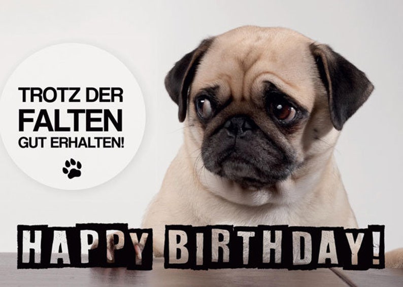 Birthday Card of M\u00f6psle-Despite wrinkles well preserved-Pug-Pug
