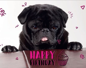 5 Stück Geburtstagskarten von Möpsle - "Happy Birthday" - Mops - Pug