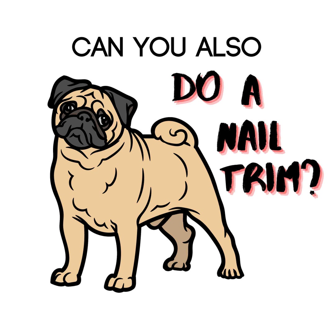 Veterinary Stickers, Laminated Stickers, for Animal Lovers Gift, for