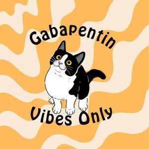 Gabapentin Vibes Only - Digitaler Download PNG Datei, Veterinary Gifts
