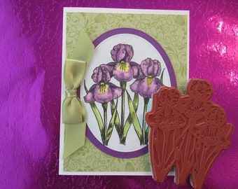 Iris Trio Rubber Stamp