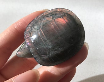 Rare Purple, Blue & Sunset Flash Labradorite Tortoise Turtle No.LT3