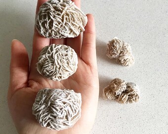 May include: Several desert rose formations, showcasing a cluster of beige, crystallized gypsum. The formations have a unique, layered appearance, resembling flower petals. The image is taken from a top-down perspective, highlighting the intricate details of the mineral specimens.
