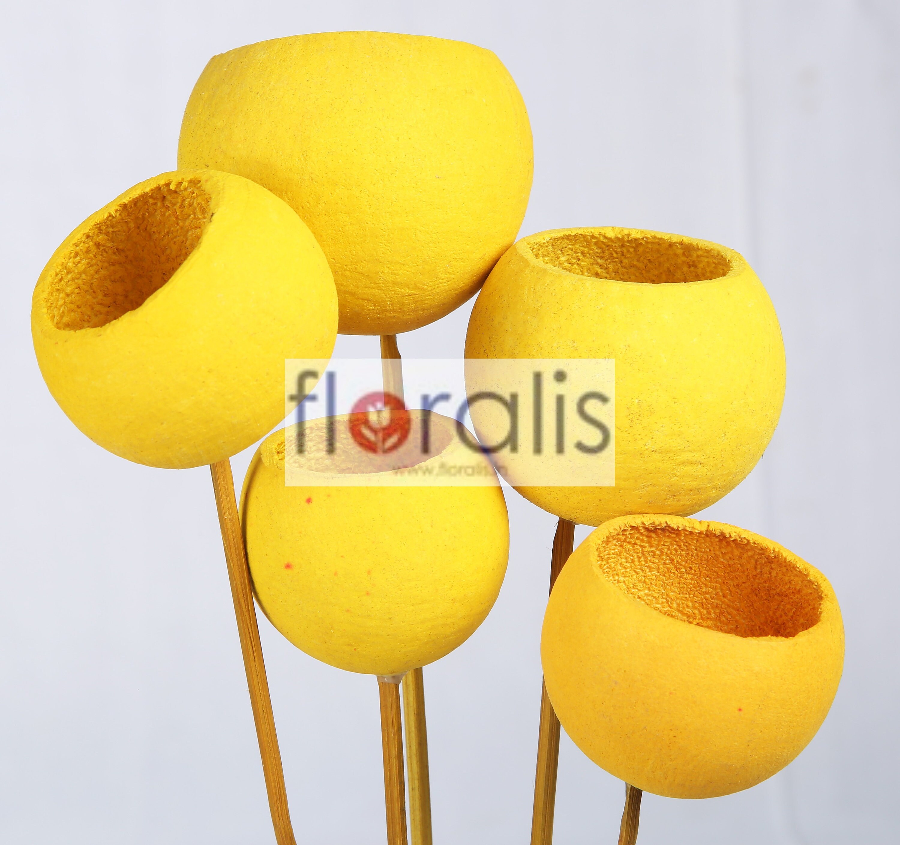 Bell Cup Yellow 5cms+ - Pack de 10 Pcs