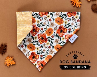 Fall Floral Dog Bandana: Reversible Over-the-Collar Autumn Bandana