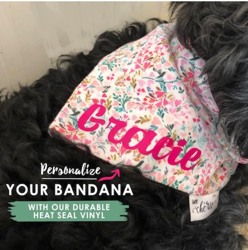 Over the Collar Dog Bandana, Reversible Dog Bandana, Summer Dog Bandana, Personalized Dog Bandana, Beach Dog Bandana, Teal Plaid Bandana image 3