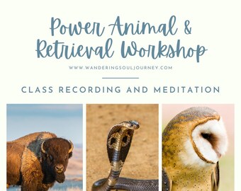 Power Animal and Retrieval Workshop *Digital Download*