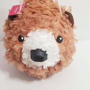 Teddy Bear Pinata