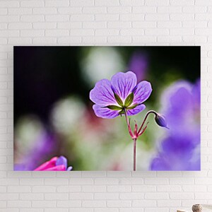 Flower Photo | Purple Flower Print | Purple Flower Wall Print | Farmhouse Wall Decor Pictures| Nursery Wall Decor