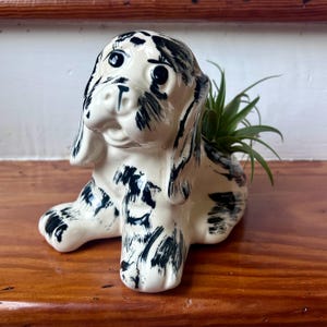 May include: A ceramic dog figurine planter with a glossy cream-colored finish and hand-painted black brushstroke markings. The dog is in a seated position with long ears and large eyes. A small green air plant is tucked into the back of the planter.