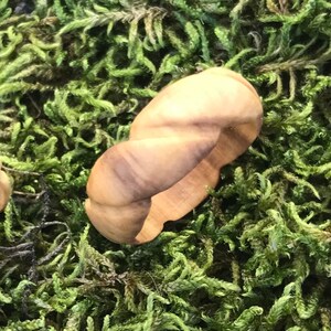 ring / wooden ring / rings / jewelry / handmade / please