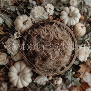 May include: Newborn backdrop featuring a wooden bowl filled with soft, light brown material, surrounded by white pumpkins, flowers, and fall foliage. The words "Newborn Backdrop" are written across the image.
