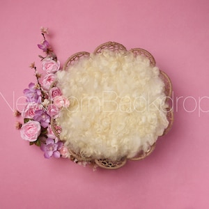 Newborn Composite, Newborn Digital Backdrop, Baby Digital Background, Newborn Photography Prop, Dreamcatcher Basket, Floral Digital Backdrop